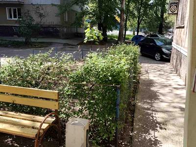 квартира по адресу Владислава Бувалкина ул. (Бочарова Генерала), 16