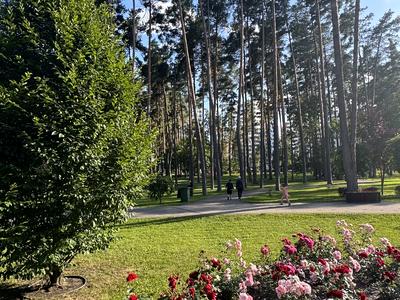 квартира за адресою Виговського вул. (Суворова), 2-Д/4