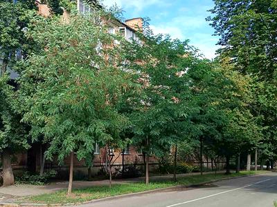 квартира за адресою Януша Корчака вул. (Баумана), 7/2