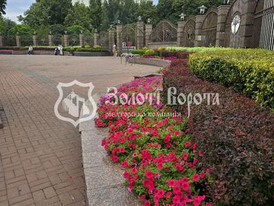 квартира по адресу Отрадный просп. (Чубаря), 28
