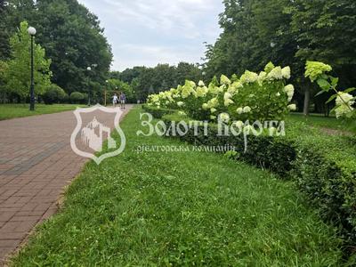 квартира по адресу Отрадный просп. (Чубаря), 28