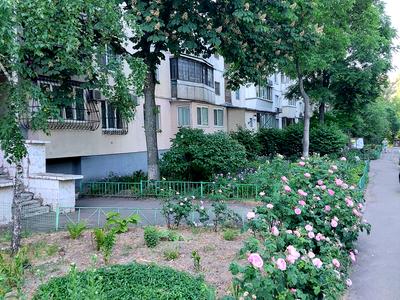 квартира за адресою Голосіївський просп. (40-річчя Жовтня), 7