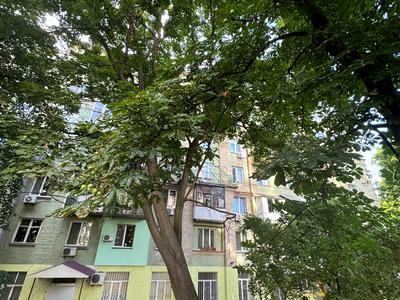 квартира за адресою Кловський узвіз, 4