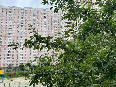 квартира за адресою Олени Пчілки вул., 2-Б