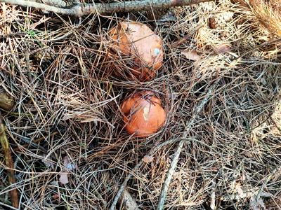 будинок за адресою Лугова
