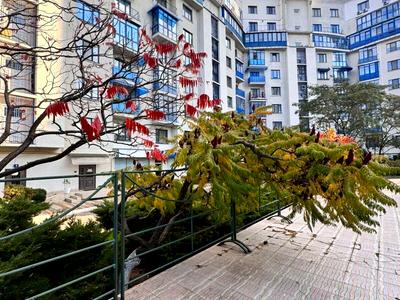 квартира по адресу Мукачевский пер., 6