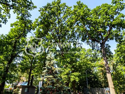 квартира за адресою Авіаконструктора Антонова вул., 2-Б