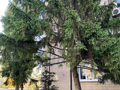 квартира по адресу Героев просп., 27