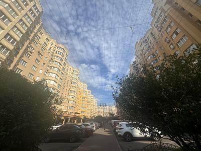 квартира за адресою Братська вул., 24