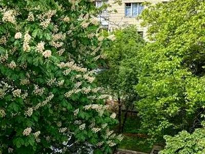 квартира по адресу Академика Глушкова просп., 24