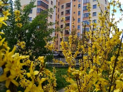 квартира по адресу Львов, Городоцкая ул., 245а