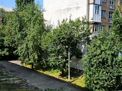 квартира за адресою Кузьми Скрябіна пров., 22-А
