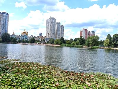 квартира за адресою Юрія Шумського вул., 8-А