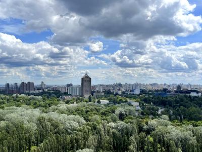 квартира за адресою Олени Теліги вул., 25
