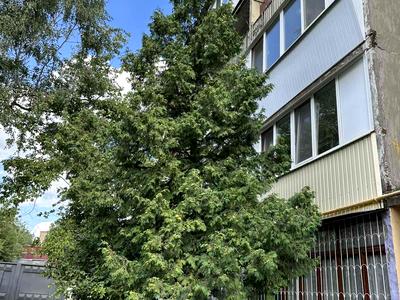 квартира по адресу Киев, Каунасская ул., 12/1