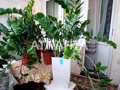 квартира за адресою Сім'ї Глодан вул., 15