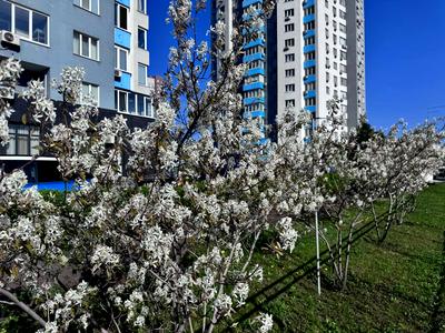 квартира по адресу Оболонский просп., 1