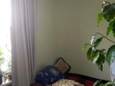квартира по адресу Суворова ул., 3