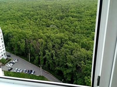 квартира по адресу Победы просп., 66з