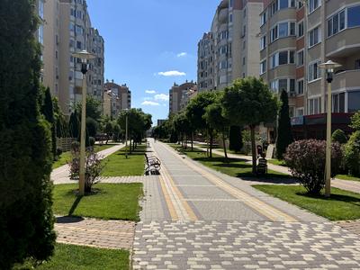 квартира за адресою Тараса Шевченка бульв., 2