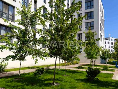 квартира за адресою Августина Волошина вул., 16