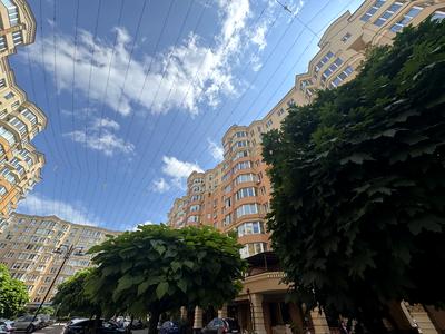 квартира за адресою Миру вул., 50
