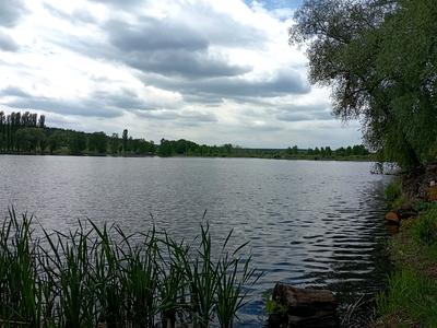 ділянка за адресою с. Миколаївка, 