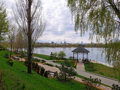 квартира по адресу Оболонский просп., 1