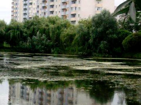 квартира по адресу С.чабаны