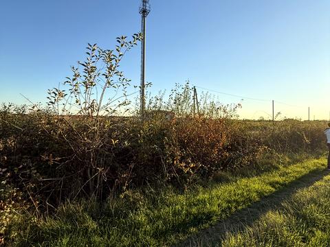 ділянка за адресою 