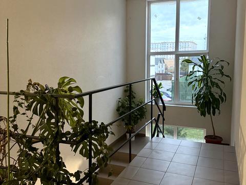 квартира по адресу Пшенична ул., 35