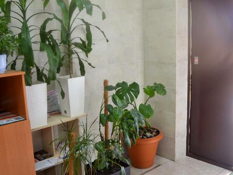 квартира за адресою Юрія Шумського вул., 5