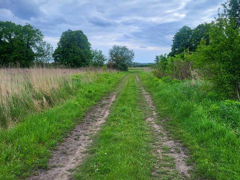 участок по адресу с. Оброшино, 
