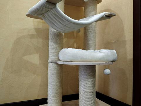 квартира за адресою Казарменна вул. (Григорія Андрющенка), 6-Г