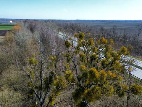 ділянка за адресою с. Йосипівка, 