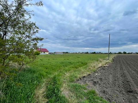 ділянка за адресою с. Борохів, 