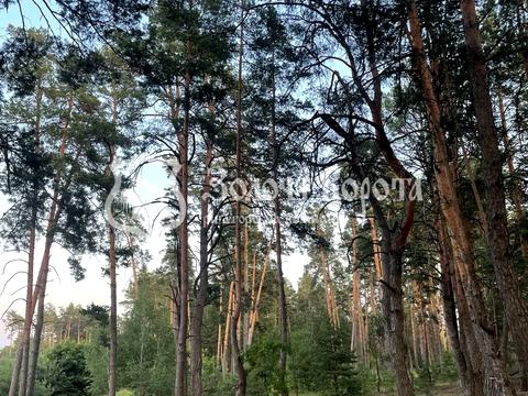 ділянка за адресою Шевченка вул.