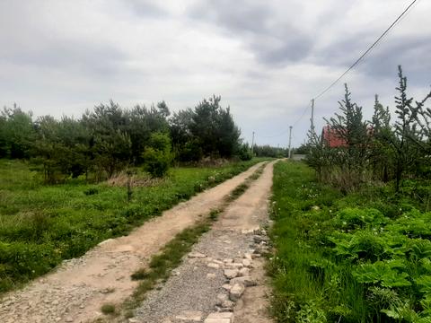 участок по адресу Квітки Основ'яненко
