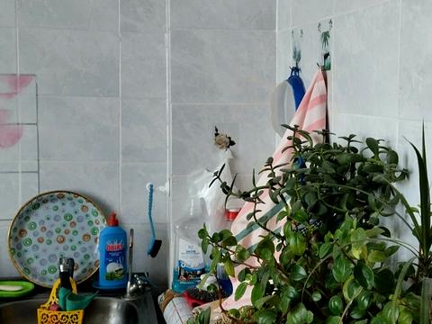 квартира по адресу Библика ул. (2-й Пятилетки), 1