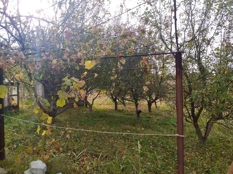 дом по адресу лісова