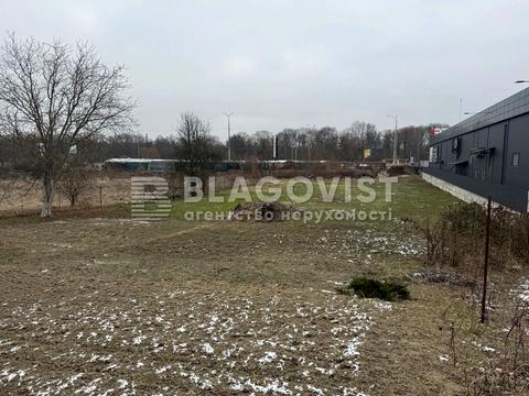 ділянка за адресою с. Лісники, Виноградна вул.