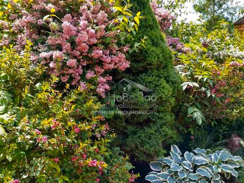 будинок за адресою Травнева, 53