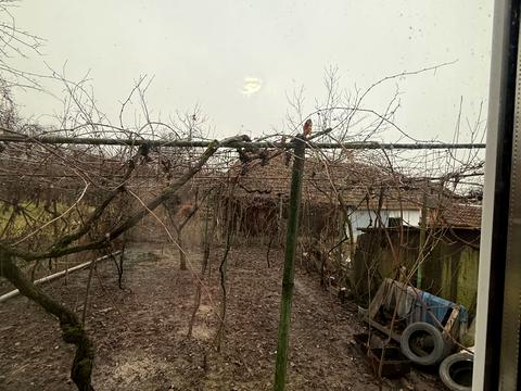 будинок за адресою с. Ляхівці, Центральна