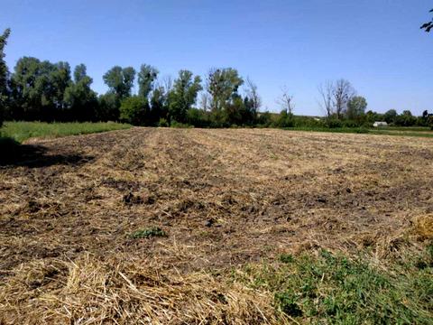 участок по адресу с. Рожки, вул.Центральна 31