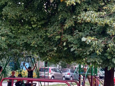 квартира по адресу Павла Тычины ул., 13