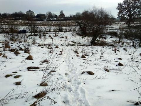 ділянка за адресою 