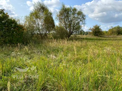 ділянка за адресою с. Тарасівка, Польова