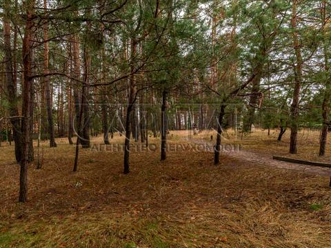будинок за адресою Центральна, 5