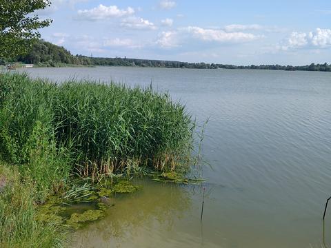 будинок за адресою Заплавна