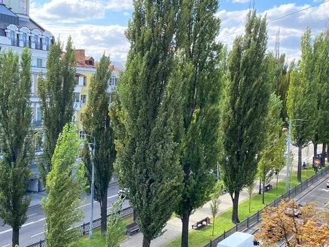квартира за адресою Тараса Шевченка бульв., 10